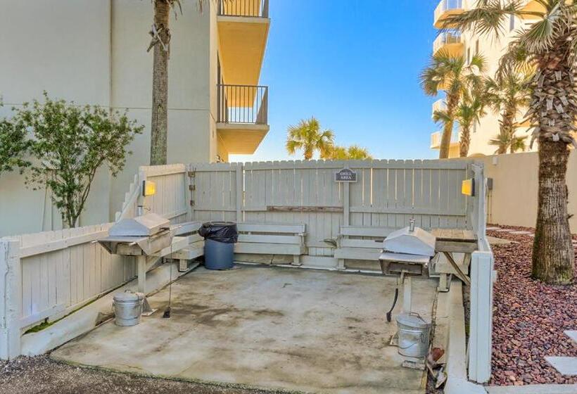 Отель The Palms #1002