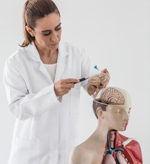 Kurotel Centro Contemporâneo De Saúde E Bem Estar