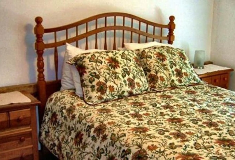 Locust Tree Bed And Breakfast Llc