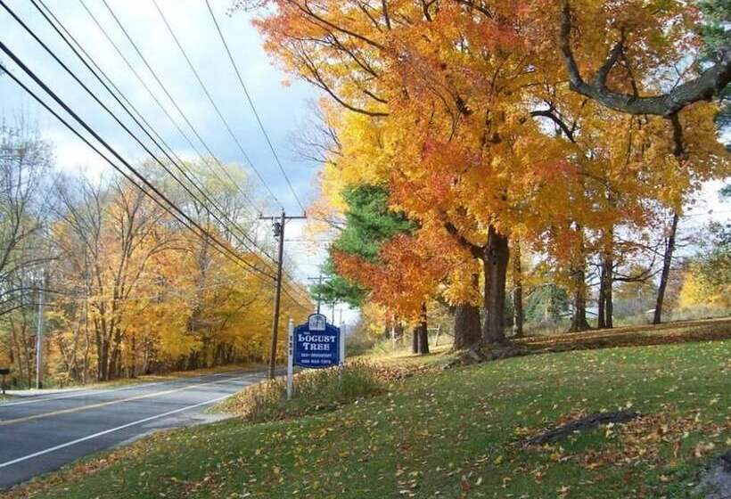 Locust Tree Bed And Breakfast Llc