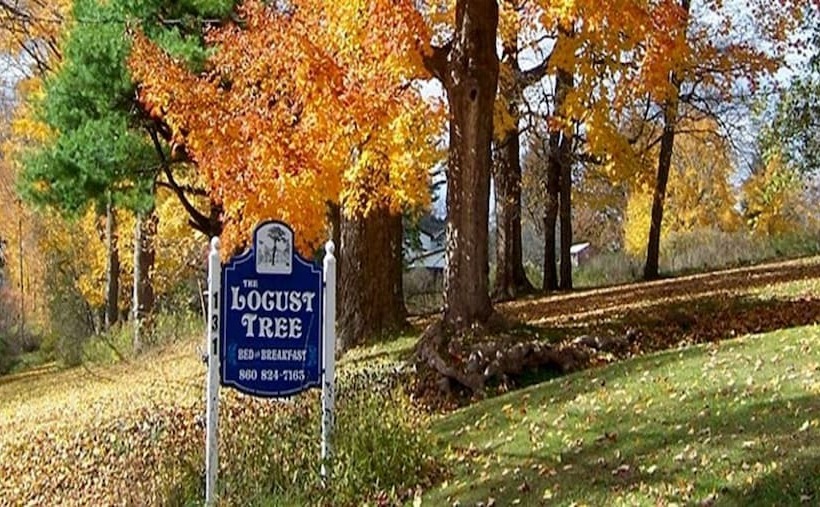 Locust Tree Bed And Breakfast Llc