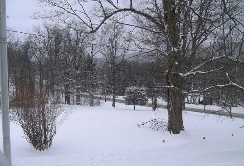 Locust Tree Bed And Breakfast Llc