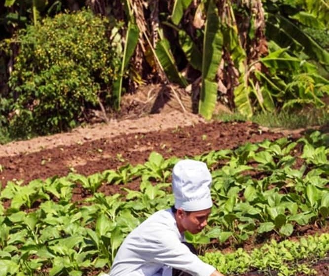 Mekong Riverside Boutique Resort & Spa