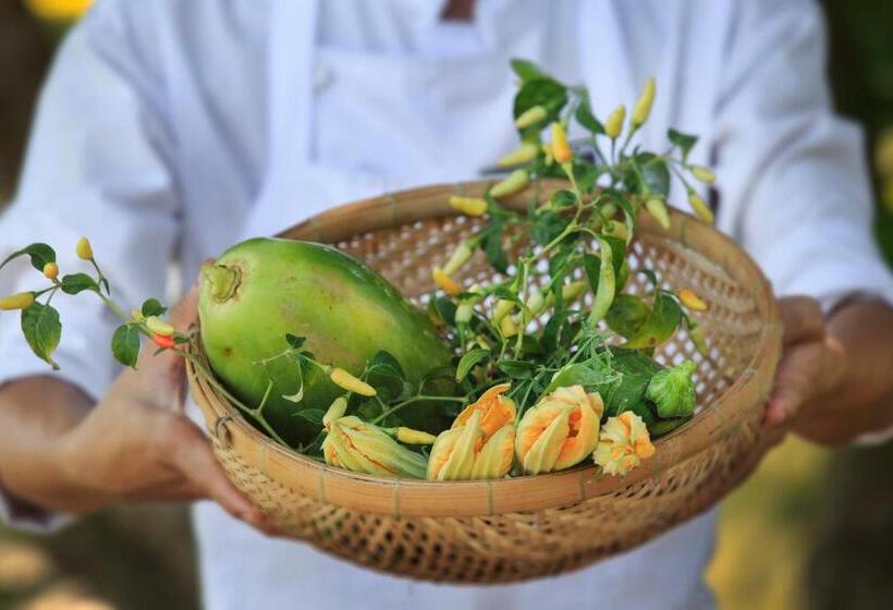 Mekong Riverside Boutique Resort & Spa