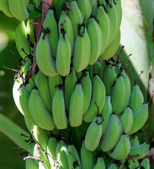 Mekong Riverside Boutique Resort & Spa