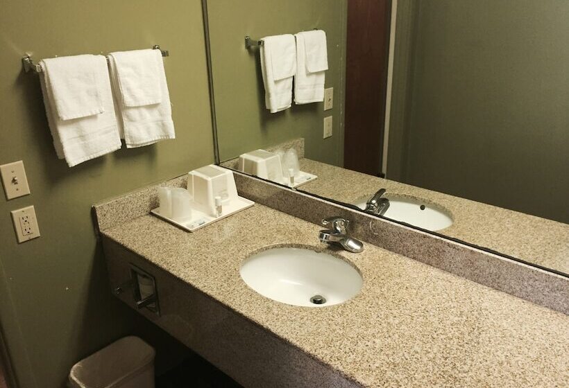 فندق على الطريق Rodeway Inn