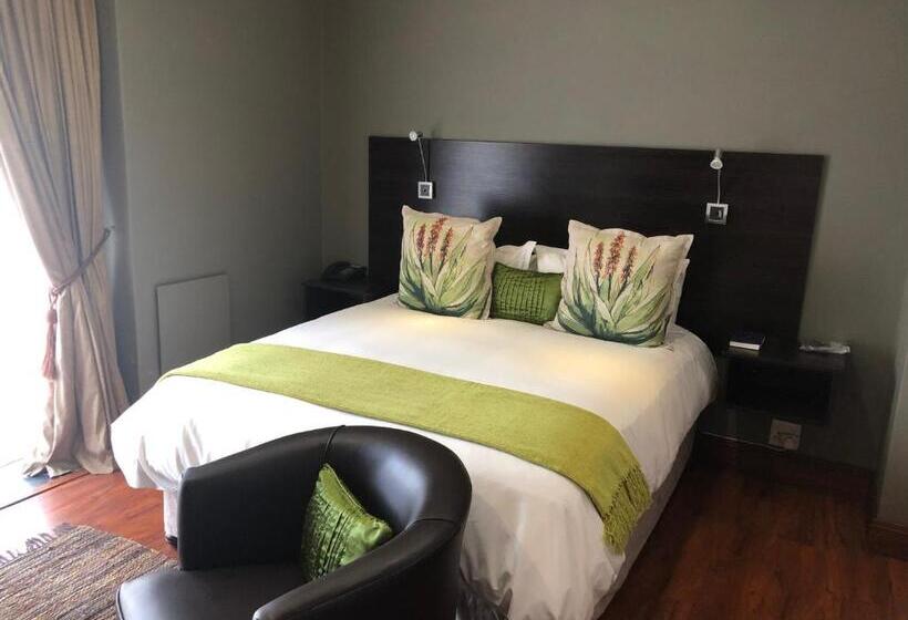 פנסיון 314 On Clark Guest House