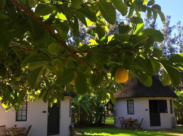 پانسیون Addo African Home