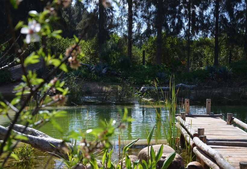 پانسیون Addo African Home