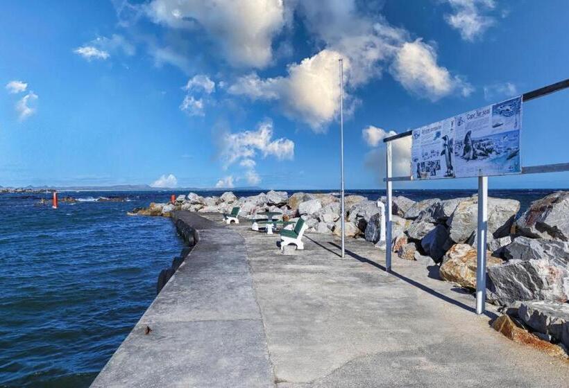 ペンション Aire Del Mar Guest House