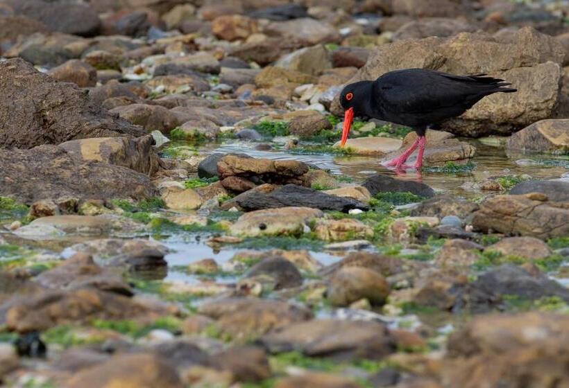 膳宿费 Aire Del Mar Guest House