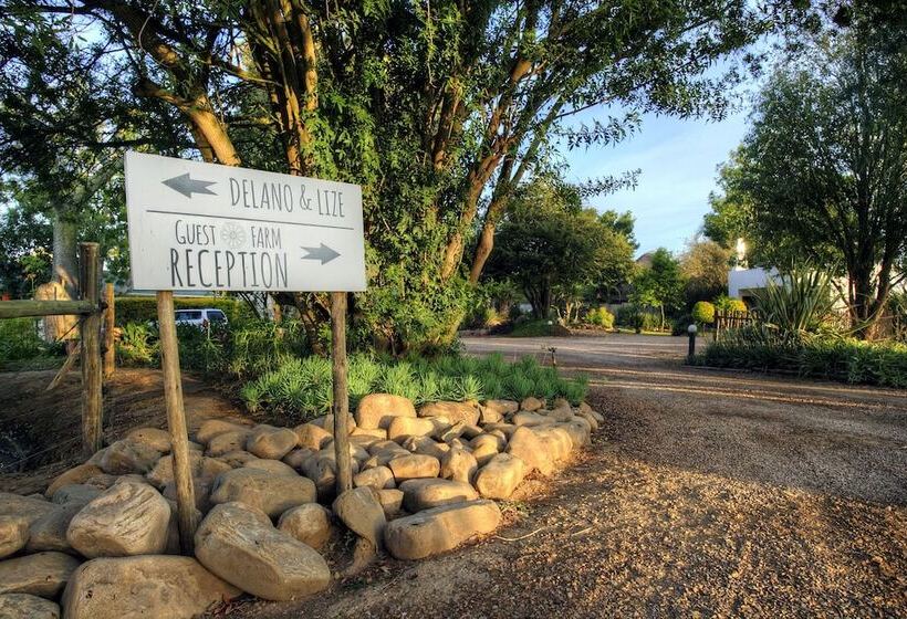 پانسیون De Old Drift Guest Farm