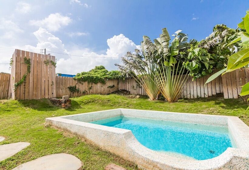 پانسیون Grass B&b