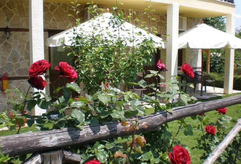 膳宿费 Olympia Guesthouse