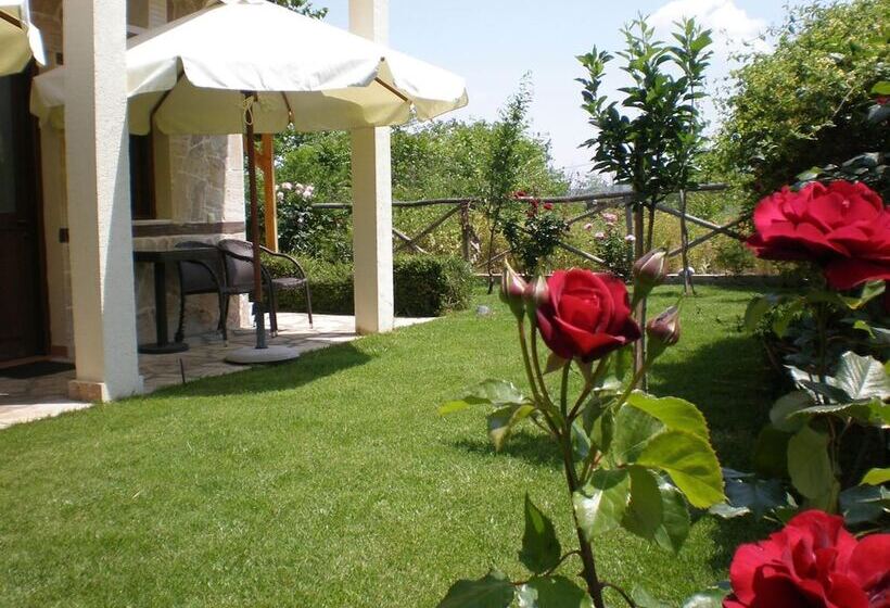 膳宿费 Olympia Guesthouse