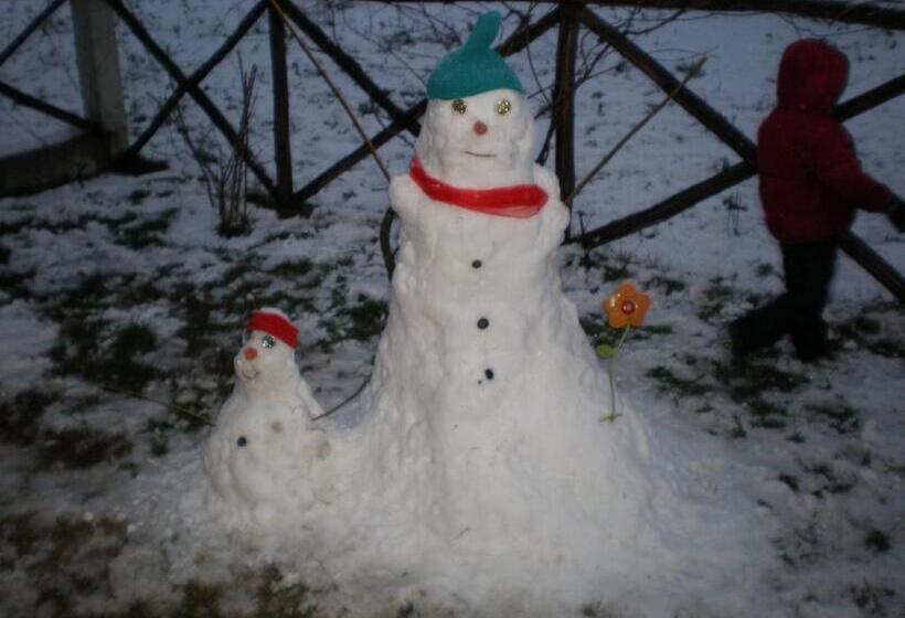 膳宿费 Olympia Guesthouse