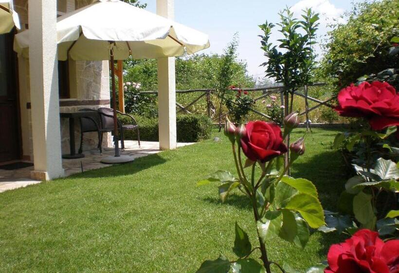 膳宿费 Olympia Guesthouse