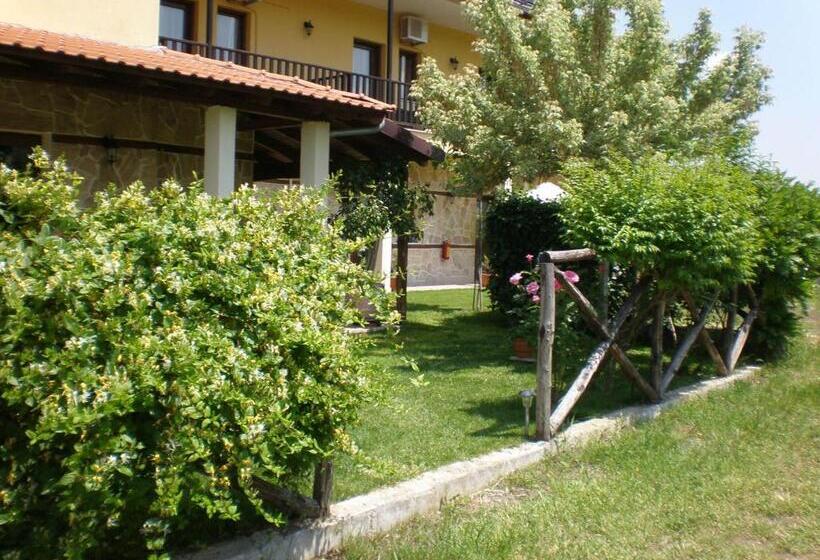 膳宿费 Olympia Guesthouse