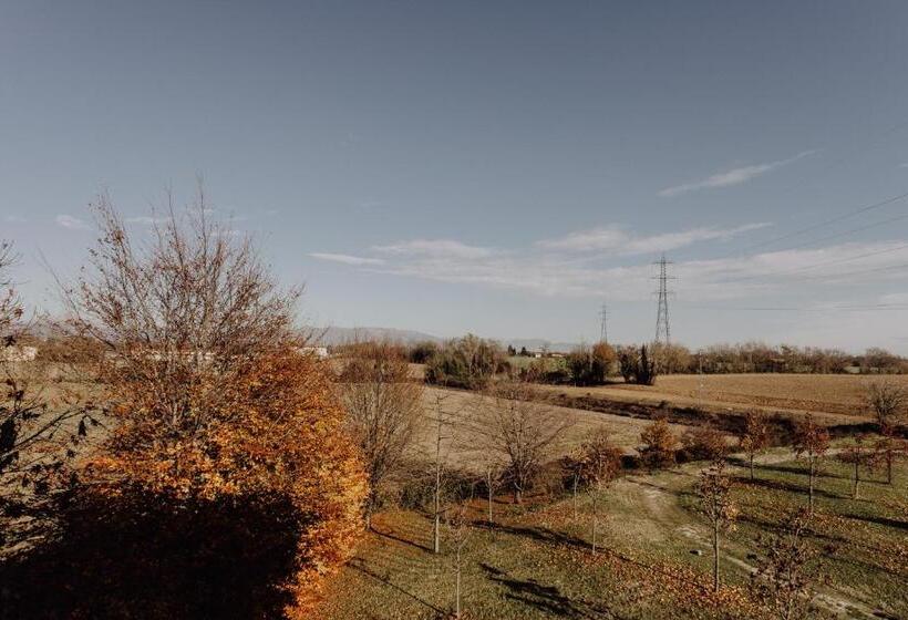 Privilege Apartments