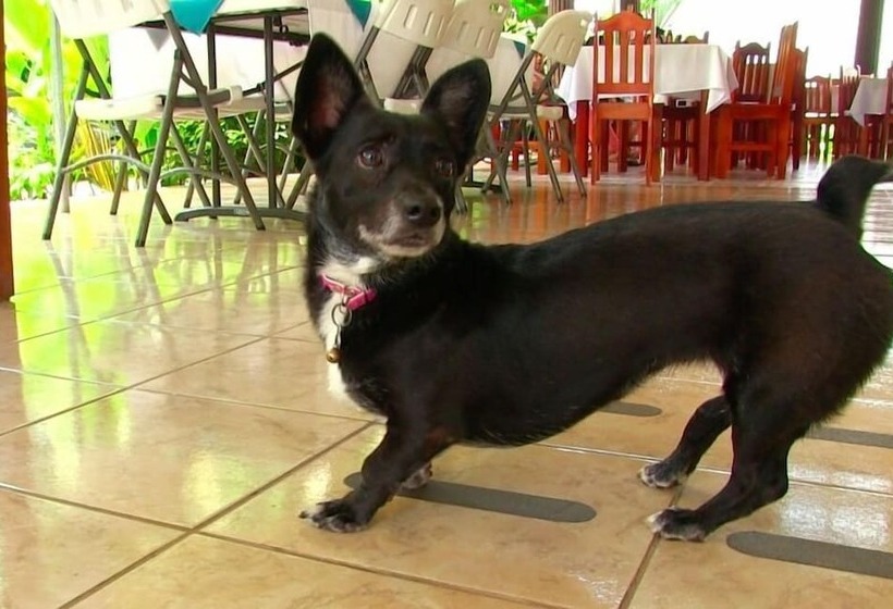 استراحتگاه Bahia Azul