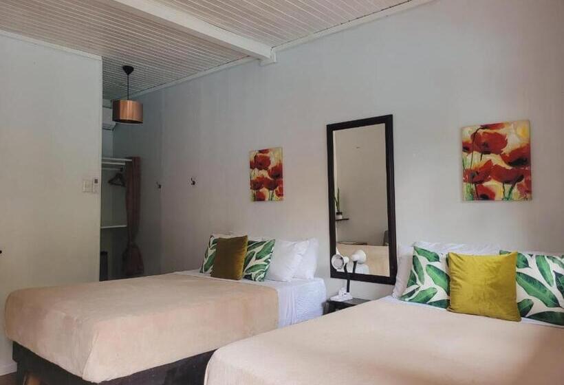 渡假胜地  Lizard King Hotel & Suites