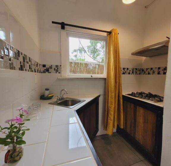 渡假胜地  Lizard King Hotel & Suites