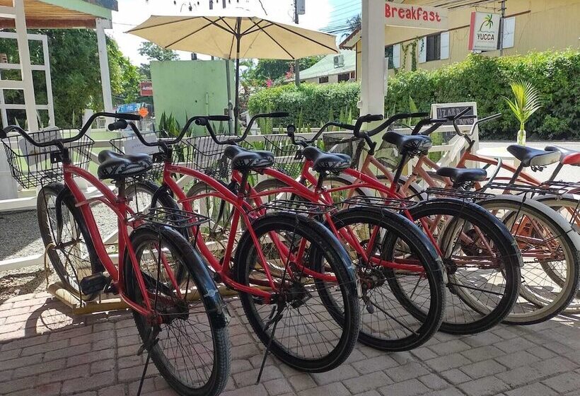 渡假胜地  Lizard King Hotel & Suites