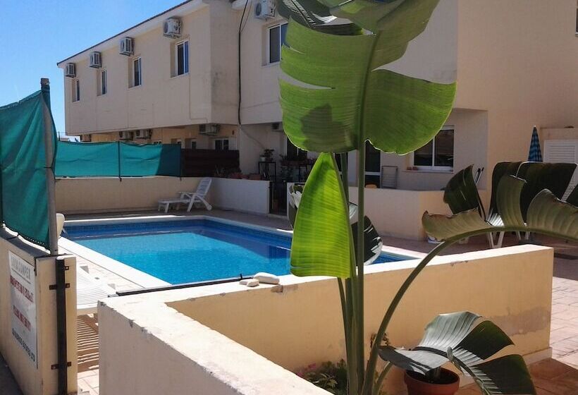 Savva Complex