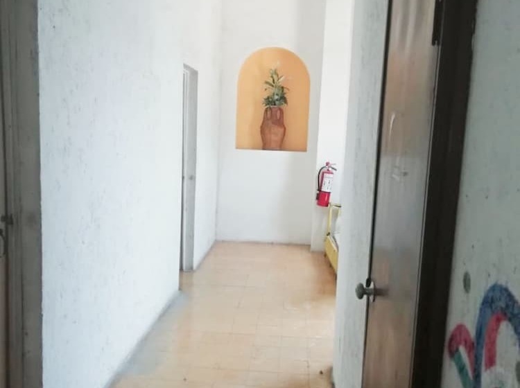 Siesta Fiesta Hotel & Hostel