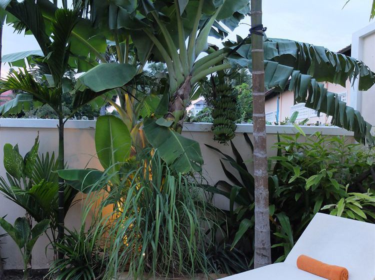 The Rose Apple Boutique Bed & Breakfast