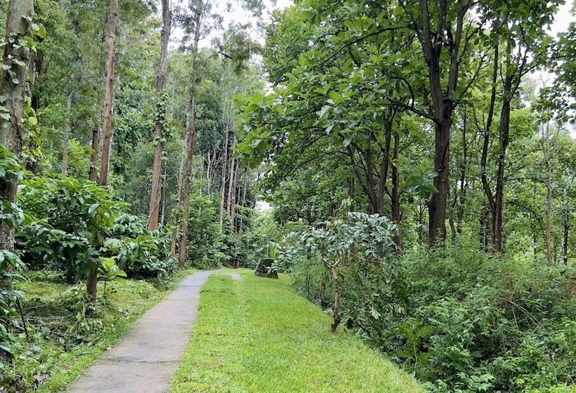 Adrak Mountain Mist Forest Resort