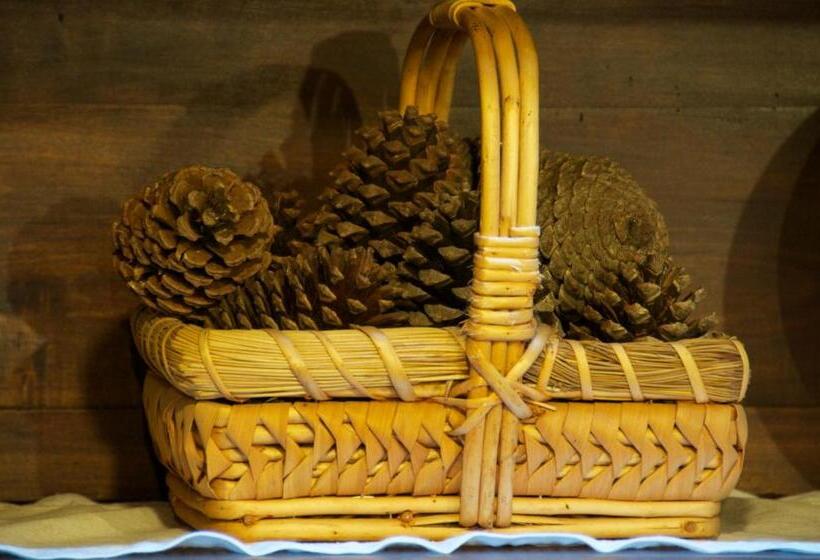 Albergue Los Blasones