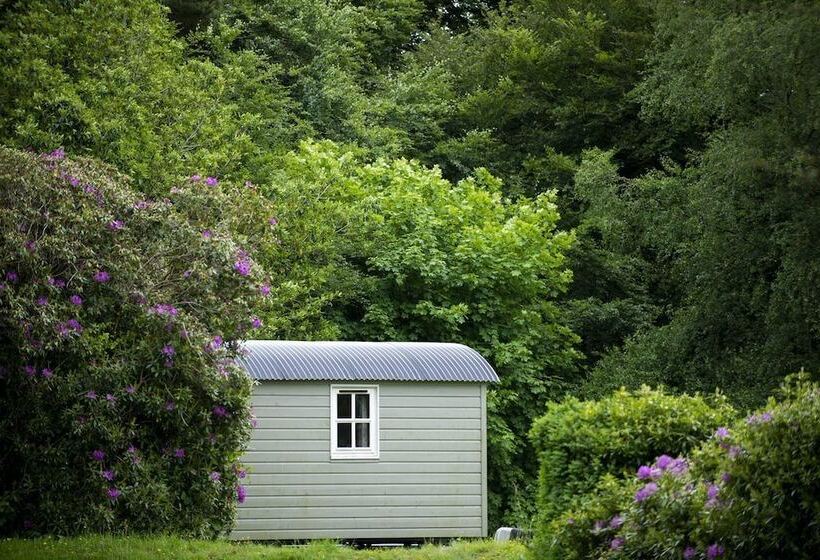 ベッドアンドブレックファースト Blackstairs Shepherds Huts