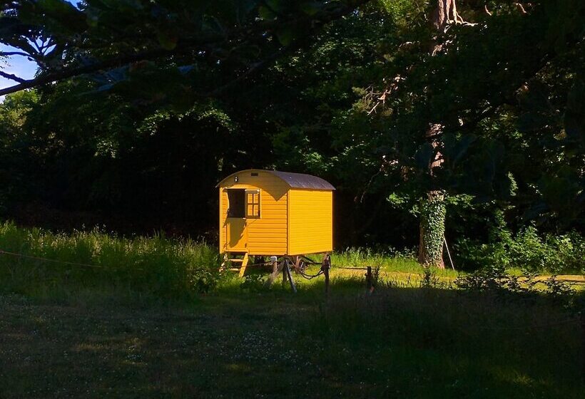 ベッドアンドブレックファースト Blackstairs Shepherds Huts