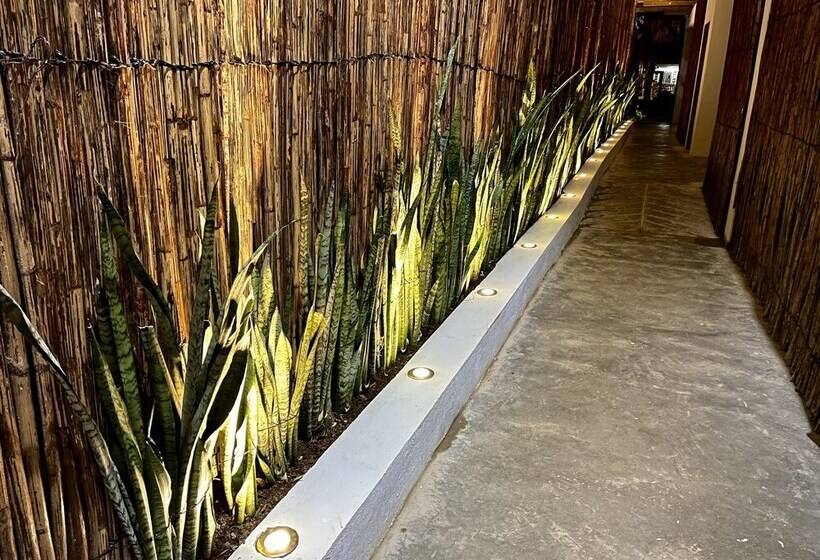 Hostal Casa En La Ciénaga