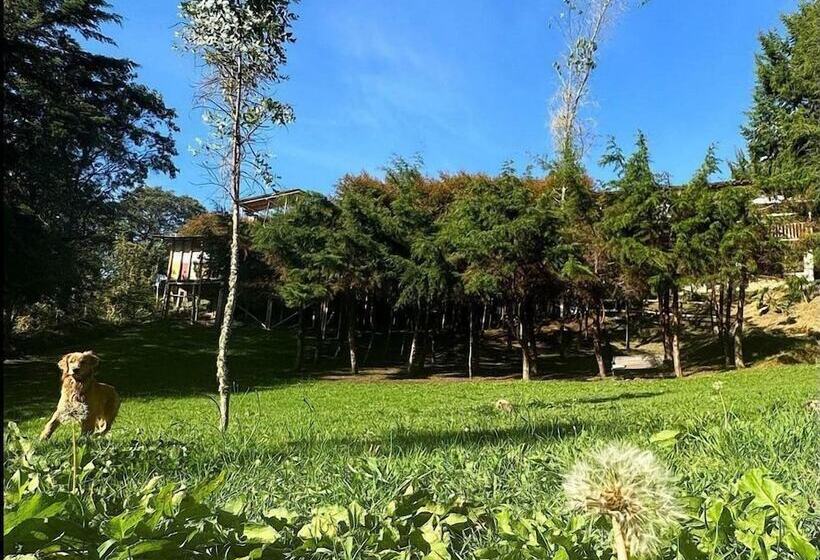 Eco Hotel Terrabella