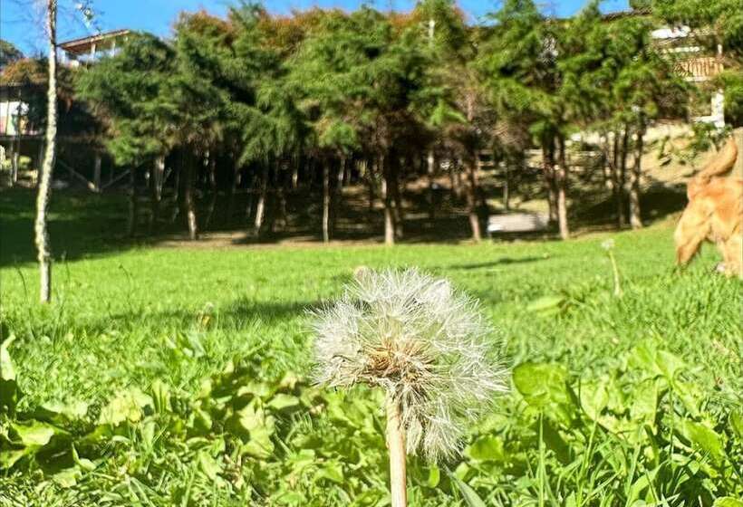 Eco Hotel Terrabella