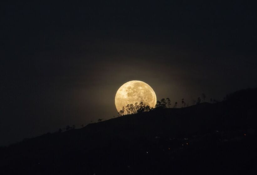 Eco Hotel Terrabella