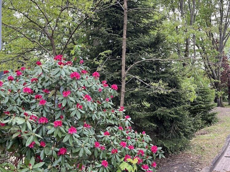 Highland Bed & Breakfast