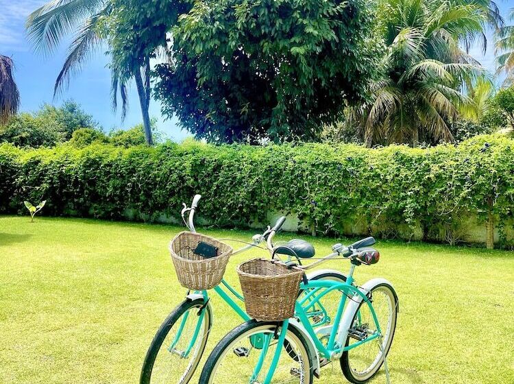 فندق فئة نجمة واحدة Pousada Corália