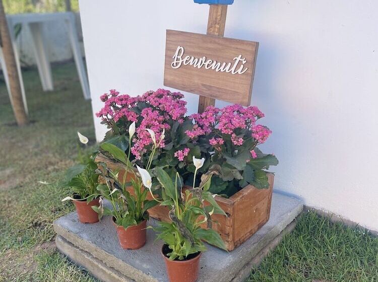 فندق فئة نجمة واحدة Pousada Corália