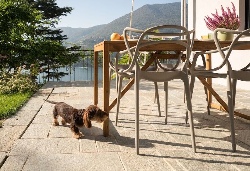 פונדק Villa Olivo