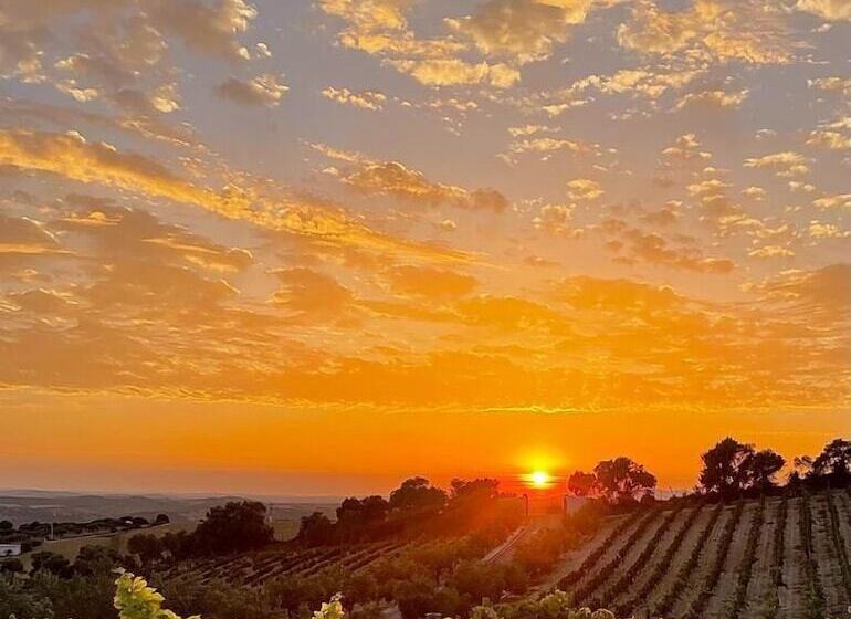 호텔 Bodegas Campestral