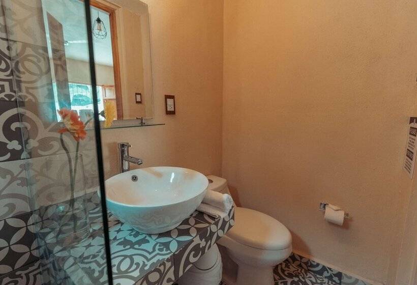 هتل Boutique Casa Piedad