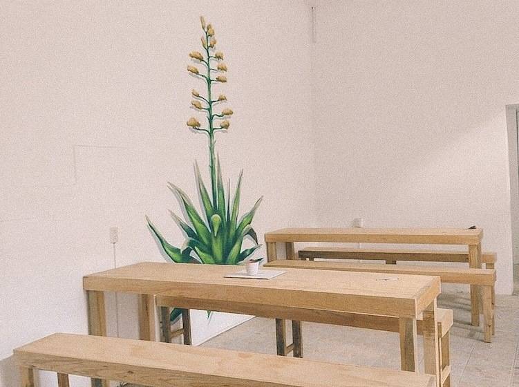 בית מלון כפרי Hostel Casa Maguey