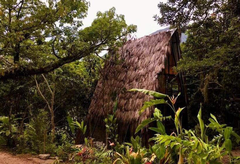 Отель Cerro Tusa Springs