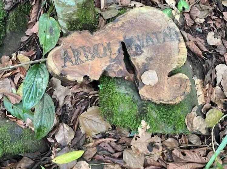 Отель Cerro Tusa Springs