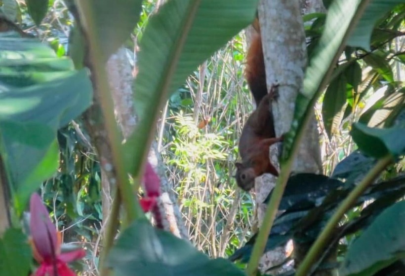 Отель Cerro Tusa Springs