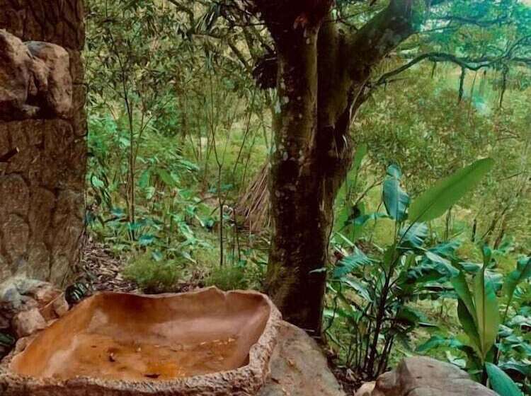 Отель Cerro Tusa Springs