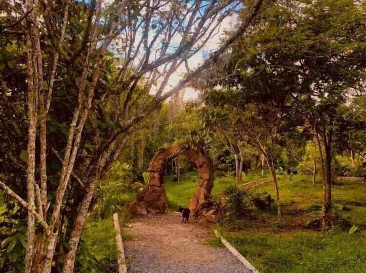 Отель Cerro Tusa Springs